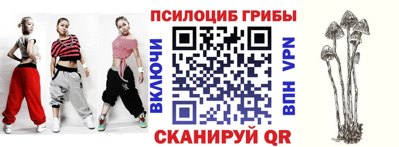 Галлюциногенные грибы Magic Shrooms  Купить где  Донецк 